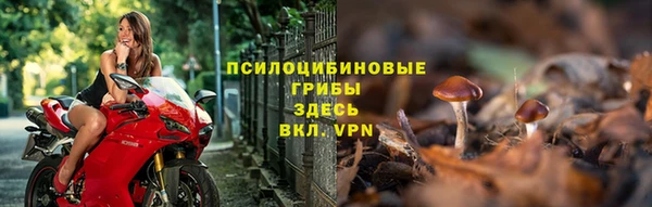 спиды Абинск