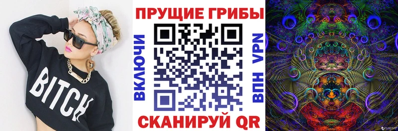 наркотики  Нижневартовск  Псилоцибиновые грибы Cubensis 